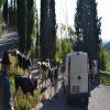 Trasy Motocyklowe sacrario-del-monte-grappa- photo