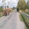 Trasy Motocyklowe babadag--murighiol-- photo