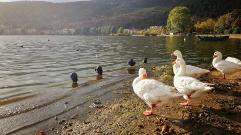 kastoria-panoramic-road-