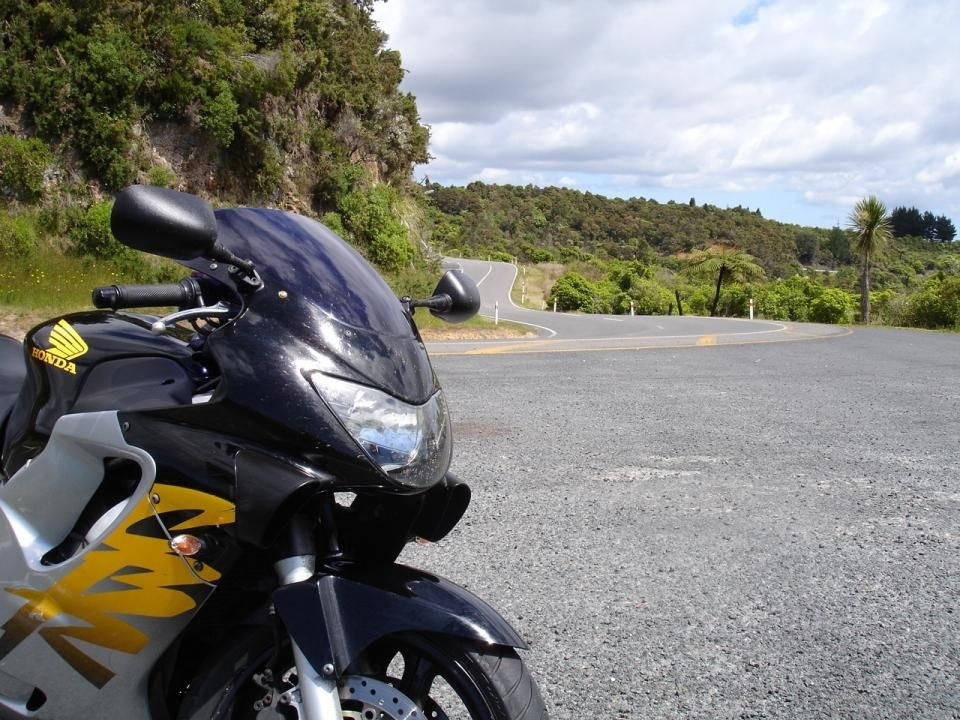 coromandel-circuit-nz_ttc-3--