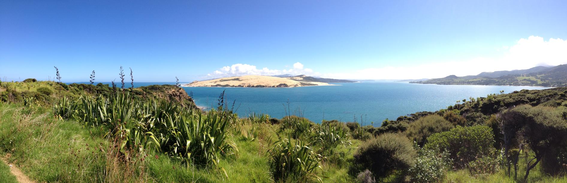 whangarei-tour--whangarei-