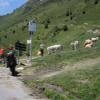 Droga motocykl d918--col-d-aspin- photo