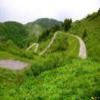 Trasy Motocyklowe monte-zoncolan--sp123- photo