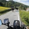 Trasy Motocyklowe 314--dale-- photo