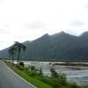 Droga motocykl 73--arthur-s-pass- photo
