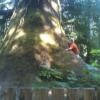 Trasy Motocyklowe renfrew-to-cowichan- photo