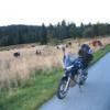 Trasy Motocyklowe d146--d61-- photo