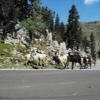 Droga motocykl d132--col-de- photo