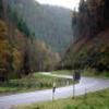 Trasy Motocyklowe b48--annweiler-- photo