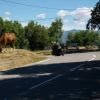 Droga motocykl d2204--breil-sur-roya-- photo