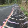 Droga motocykl lismore--nimbin- photo