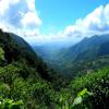 Trasy Motocyklowe bocaina-mountains--lidice- photo