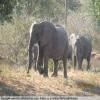 Trasy Motocyklowe nata-to-kasane-on- photo
