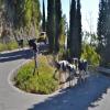 Droga motocykl sacrario-del-monte-grappa- photo