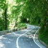 Trasy Motocyklowe sp263--passo-dello- photo