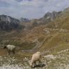 Trasy Motocyklowe durmitor- photo