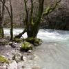 Droga motocykl gostivar--debar-struga- photo