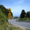 Droga motocykl coromandel-circuit-nz_ttc-3-- photo
