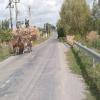Droga motocykl babadag--murighiol-- photo