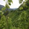Trasy Motocyklowe heart-of-slovakia-- photo