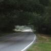 Trasy Motocyklowe charleston--edisto-island- photo