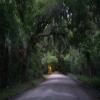 Trasy Motocyklowe charleston--edisto-island- photo