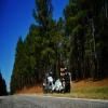Droga motocykl sumter-national-forest-2- photo