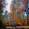 Droga motocykl sumter-national-forest-2- photo