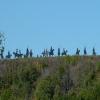 Droga motocykl tour-the-western-osage- photo
