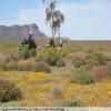 Trasy Motocyklowe breede-river-to-sutherland- photo