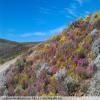Droga motocykl breede-river-to-sutherland- photo