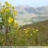 Trasy Motocyklowe swartberg-pass- photo