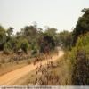 Trasy Motocyklowe backroad-from-bulawayo-to- photo