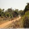 Droga motocykl backroad-from-bulawayo-to- photo