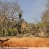 Trasy Motocyklowe backroad-from-bulawayo-to- photo