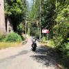 Droga motocykl skaggs-and-hwy-1- photo