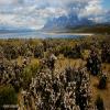 Trasy Motocyklowe torres-del-paine- photo
