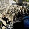 Droga motocykl d2205--saint-sauveur-sur-tinee-- photo