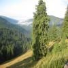 Droga motocykl dn12c--lake-rosu- photo