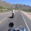 Droga motocykl mount-lemmon-highway-- photo