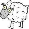 sheepskin_sliders Avatar