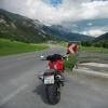 Motorcycle Traveller Avatar Image