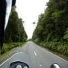 Droga motocykl 73--arthur-s-pass- photo